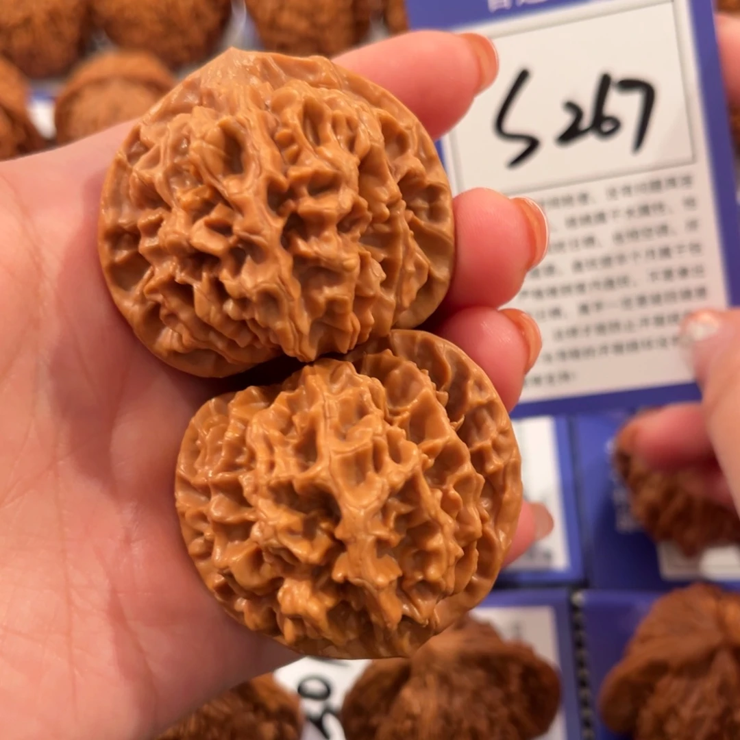 核桃S267号帝王45尺