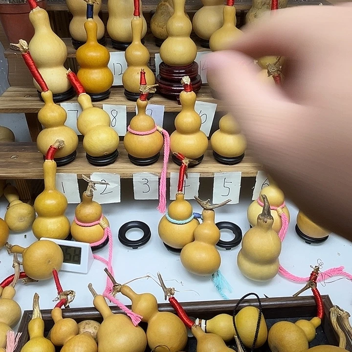 廉***谨啦啦啦啦啦啦啦啦啦啦