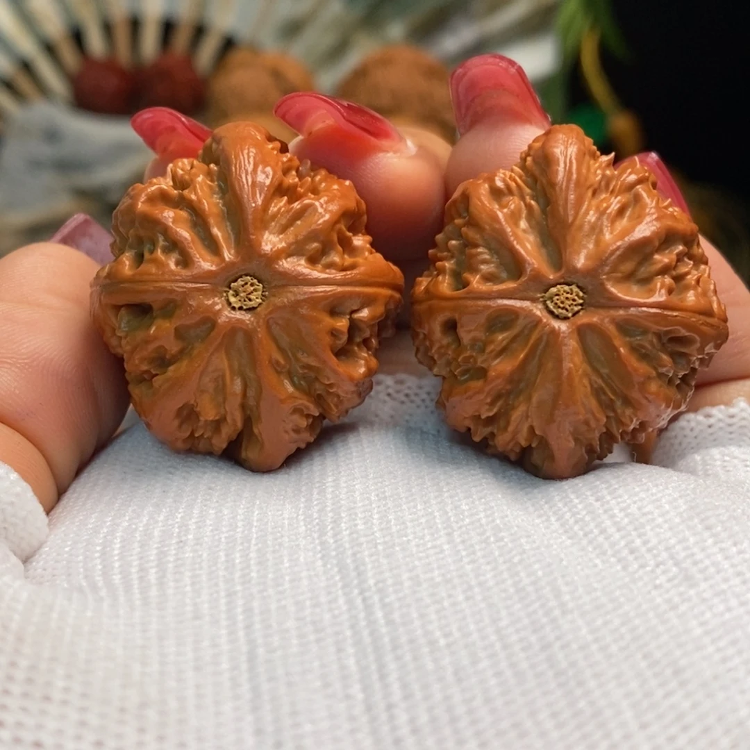 文玩核桃把件蚂蚁王