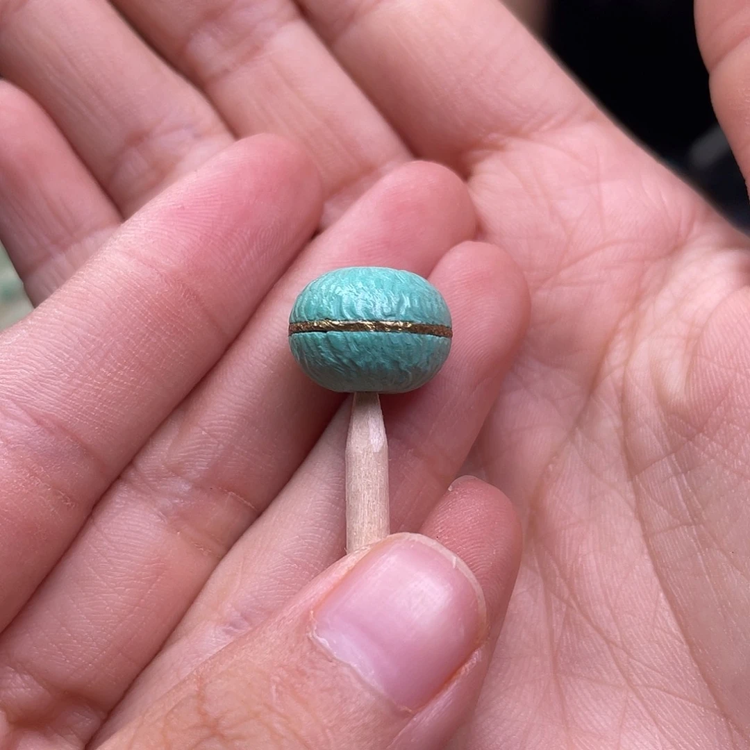 28号 湖北十堰矿松
