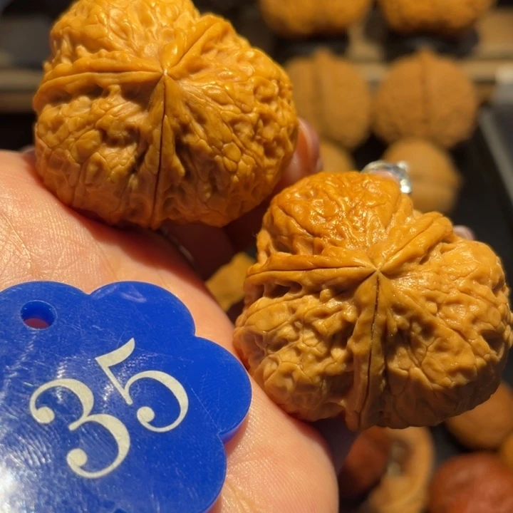 老树黄金核桃尺寸39