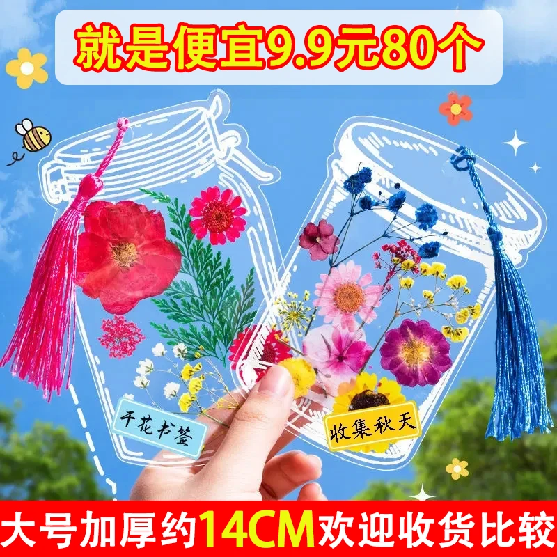 泡泡空间压花大号瓶子里的秋天玻璃干花书签手工DIY透明贴纸标本