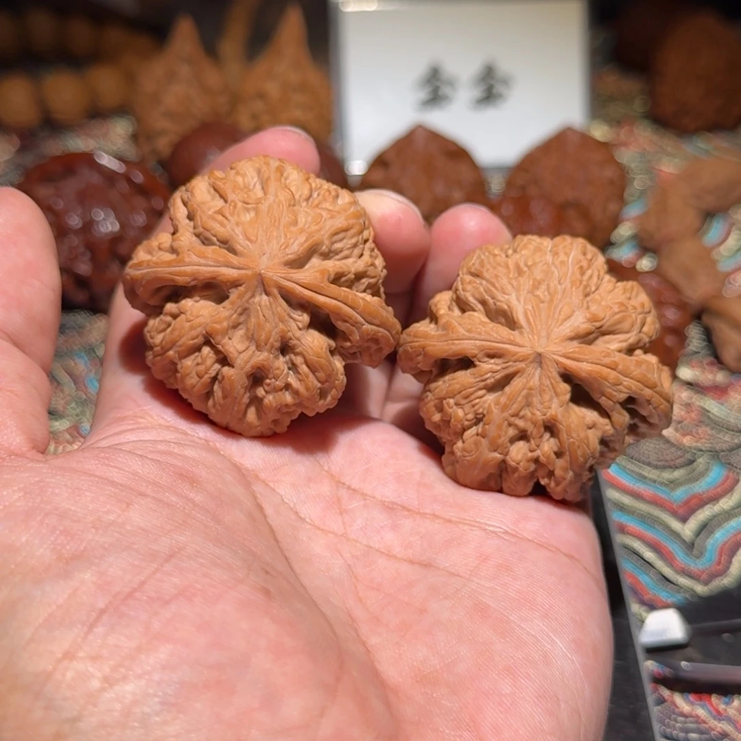把件核桃1064大粗筋，尺寸45 45 38