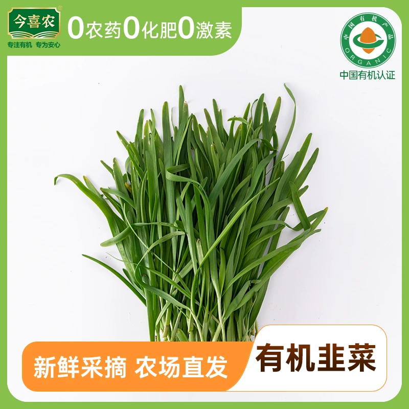今喜农有机韭菜 农场新鲜现采现发