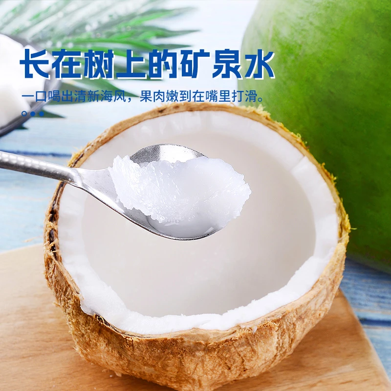 精选泰国椰皇6个装大果500g+香甜多汁健康饮品