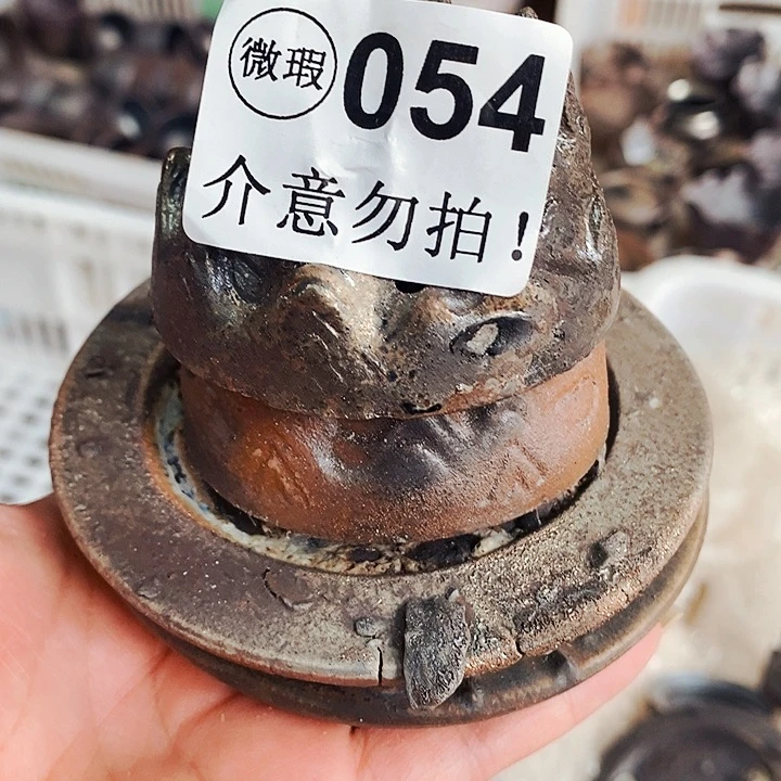 紫砂茶杯柴烧纯手工054