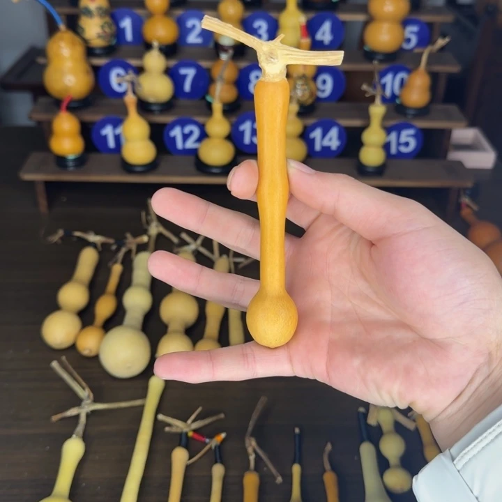 弹***哥精品杆子老皮周正