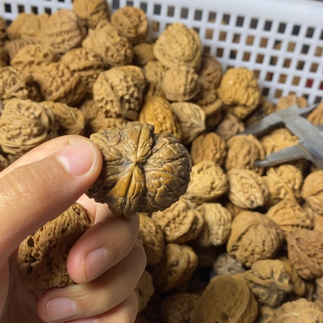 老***、大叶紫檀（黑酸枝木类）