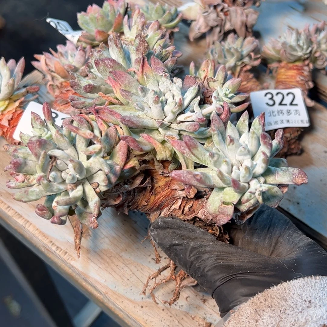 324哈哈哈哈哈哈哈哈