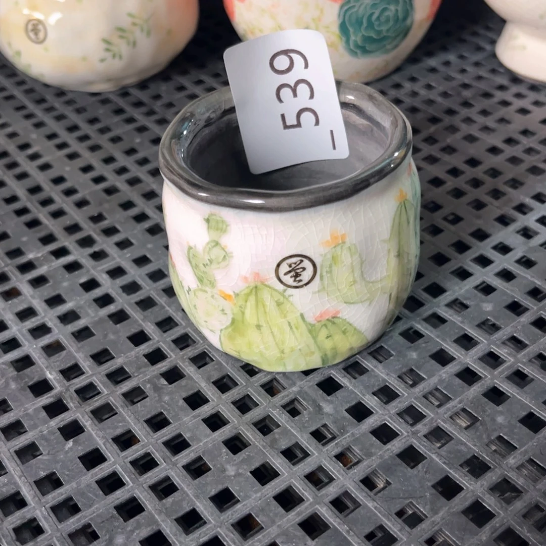 芒*?539多肉花盆1个
