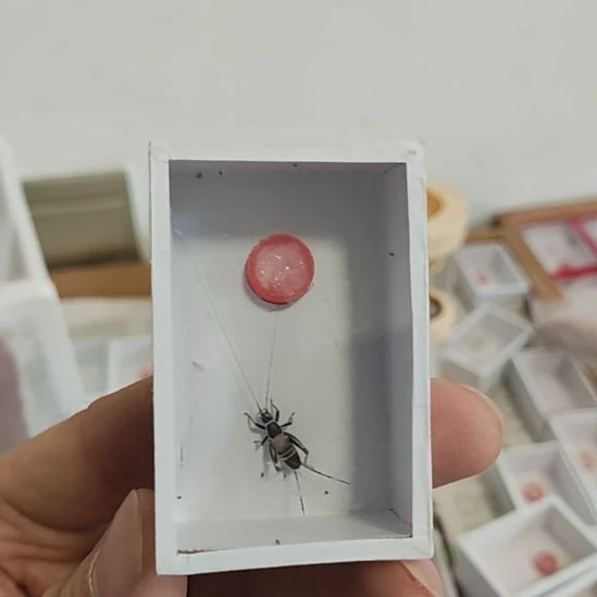 山仙子一个啊啊啊啊