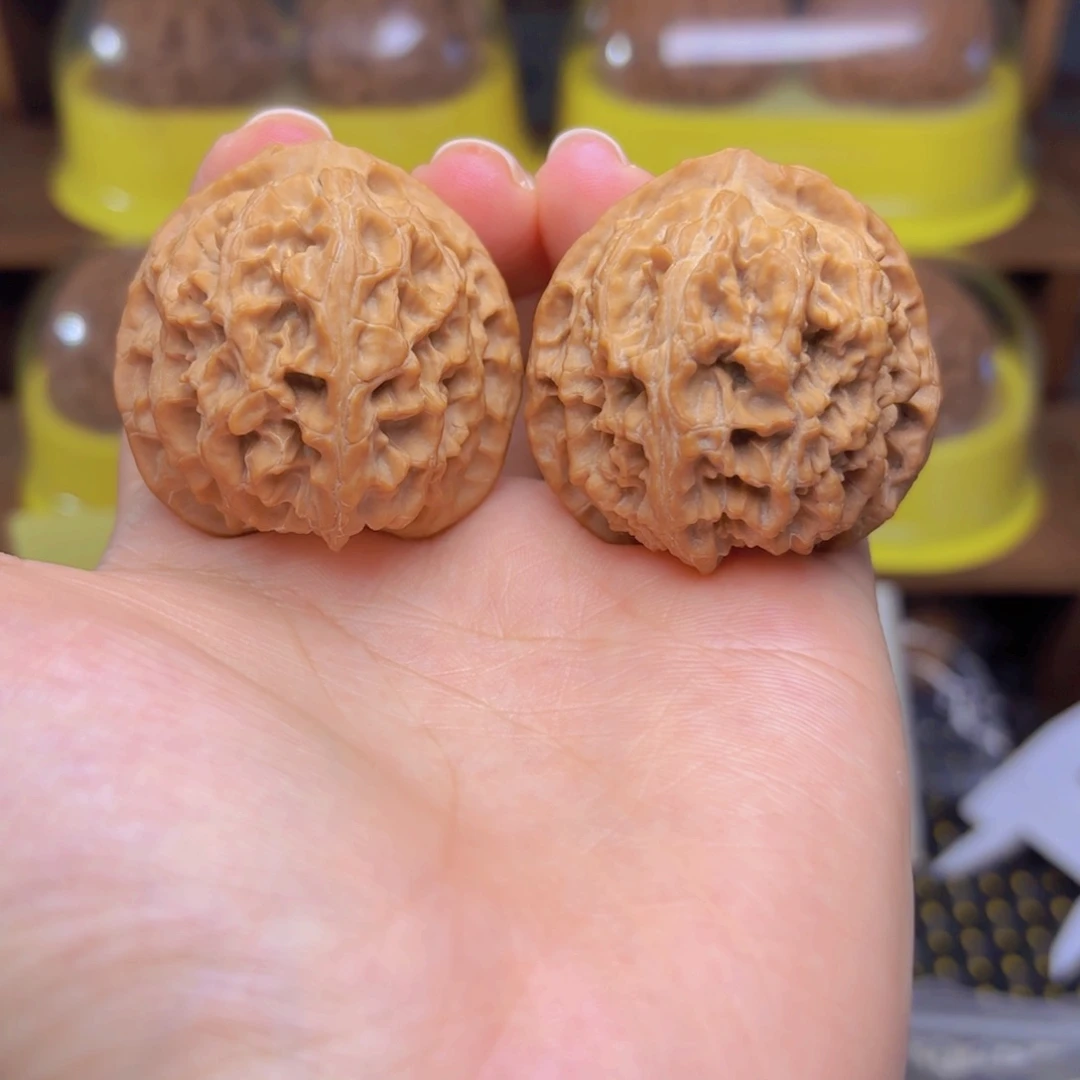 苹果园狮子头四十尺