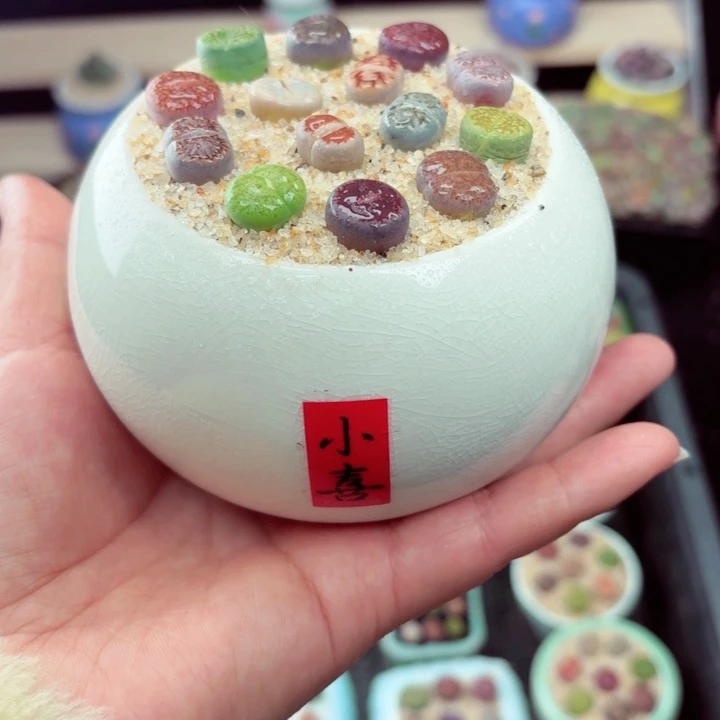 505零下地区记得拍保温箱