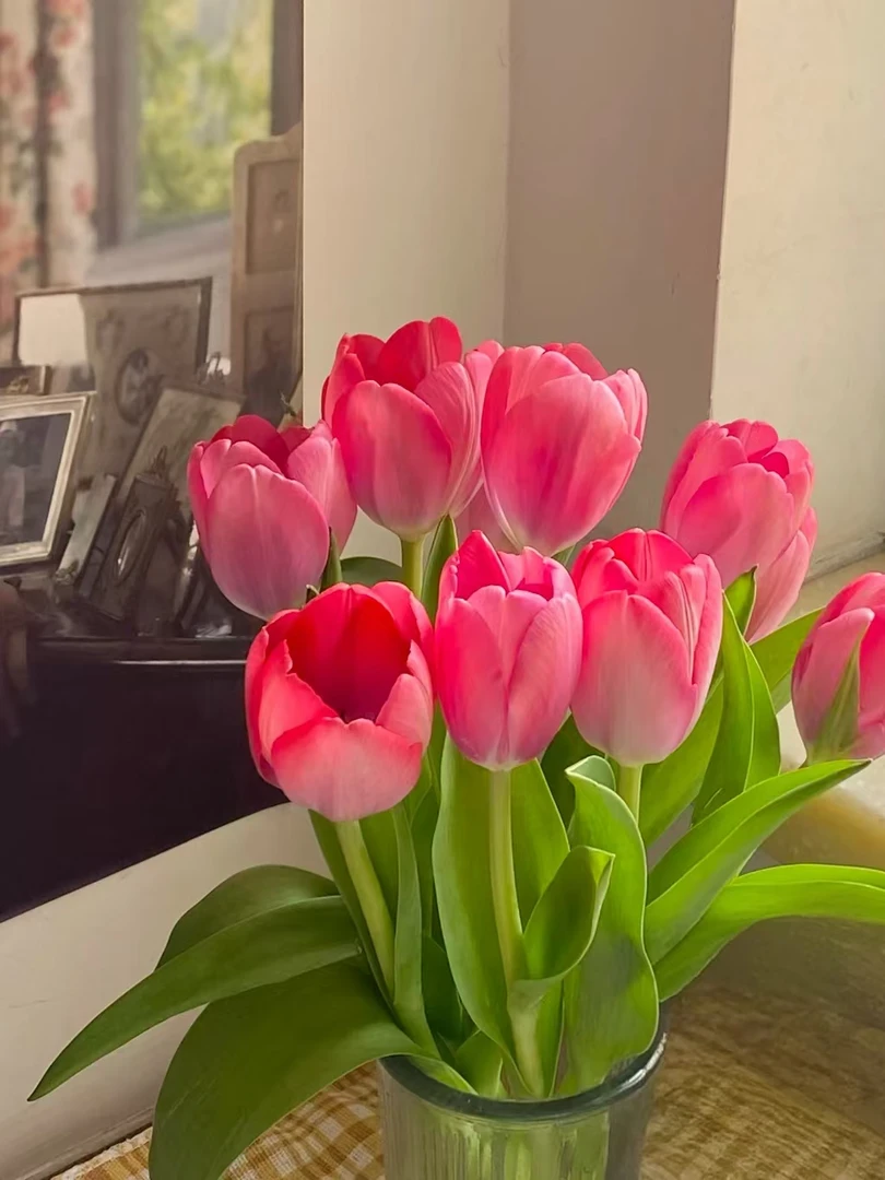 【源头一手价】方德嫣然郁金香一把（一把10支）云南基地鲜花