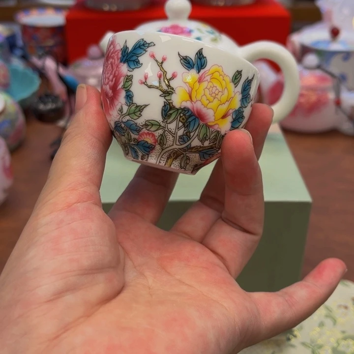 花花绿绿地在火山直播