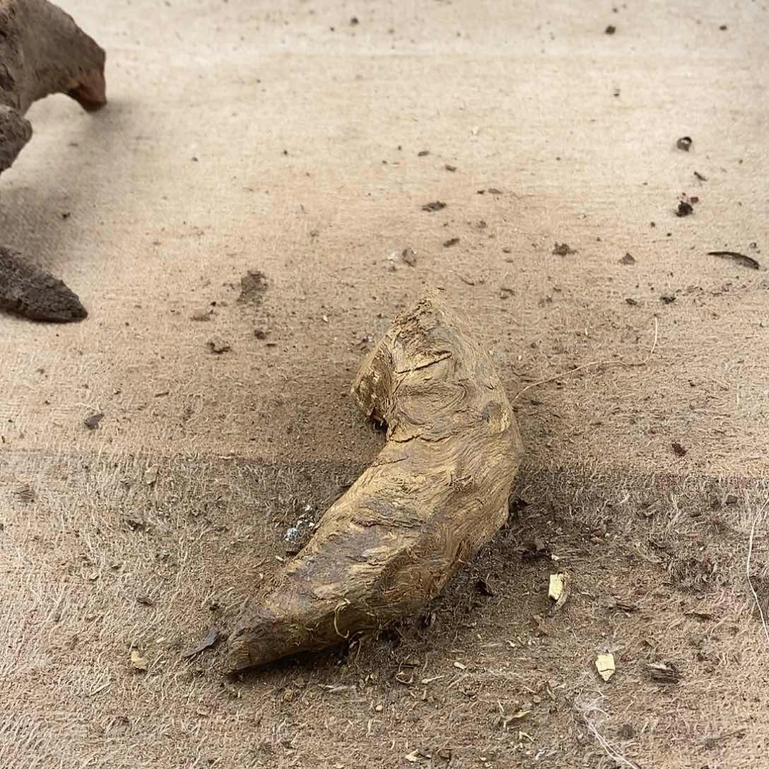 木紫****s黄花梨随形料子