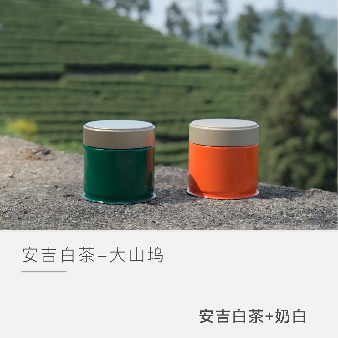 【安吉白茶品鉴合集】大山坞 2025年 云人访甄选
