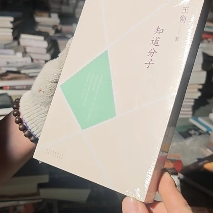 王朔知识分子平装库存书