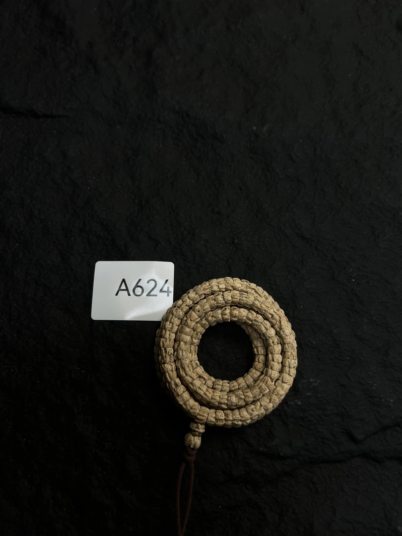 热振柏香籽 粉皮多棱斜切顺肠 A624