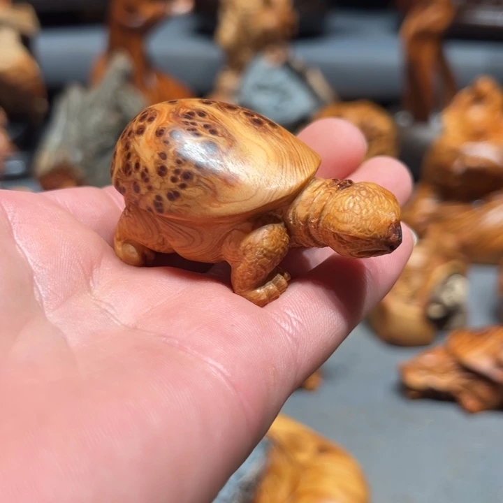 柏木（崖柏）点点关注
