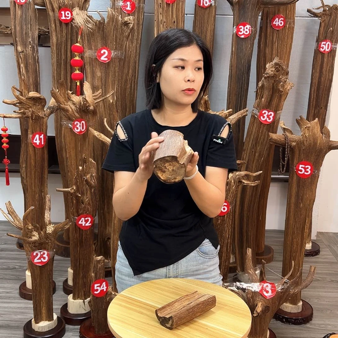 沉香沉香碎屑碎屑