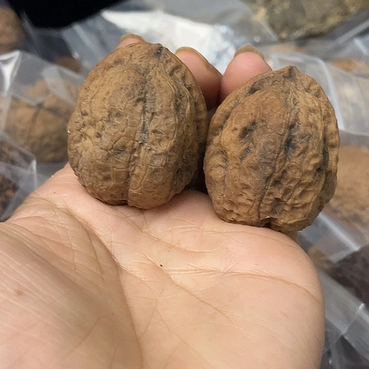 把件文玩核桃云南铁核桃基地96