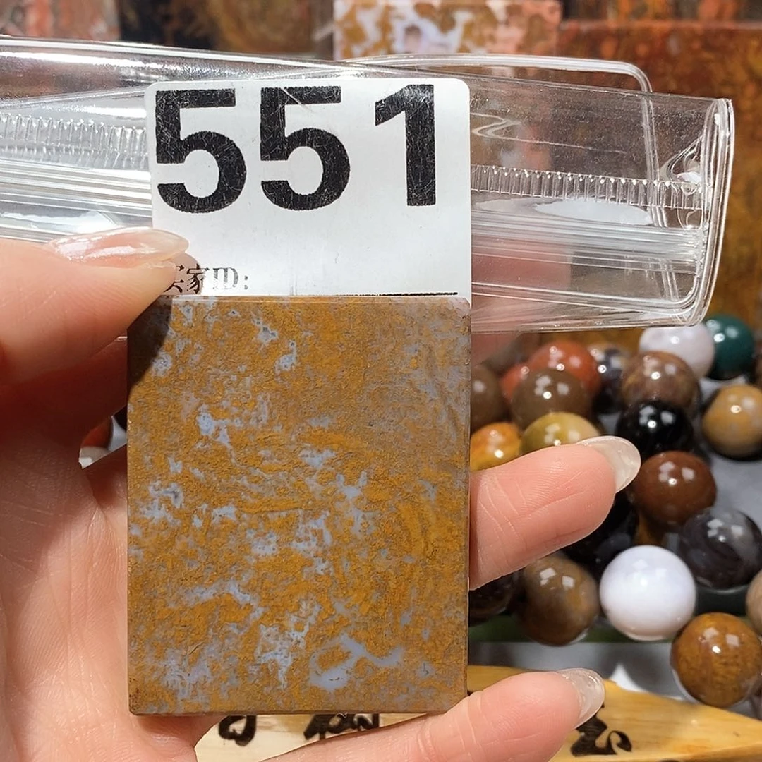 未镶嵌天然北票树化玉吊坠硅化玉