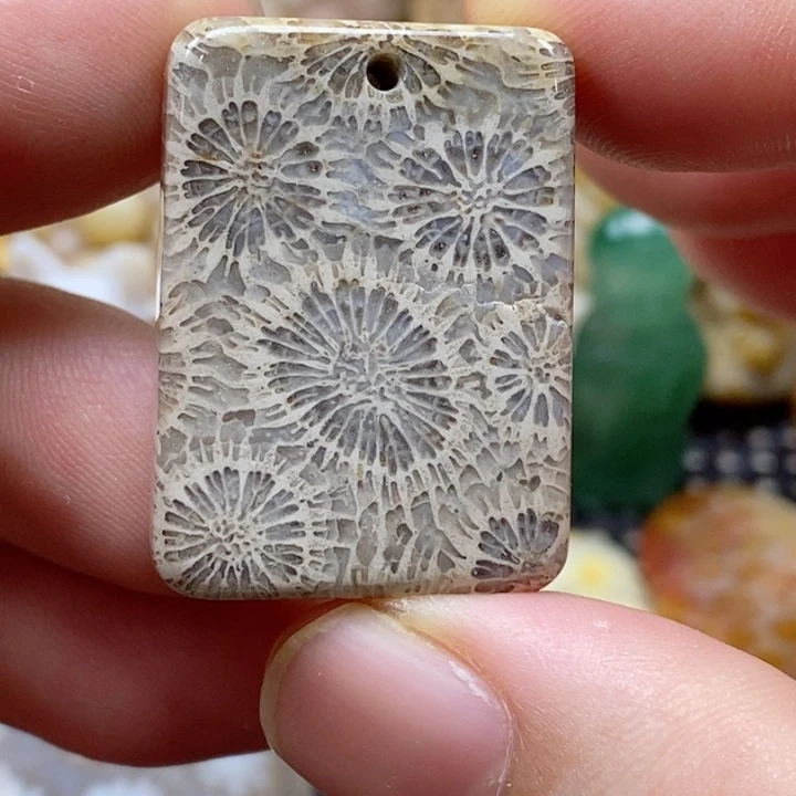 硅化珊瑚（珊瑚玉）颈饰未镶嵌小吊坠有瑕