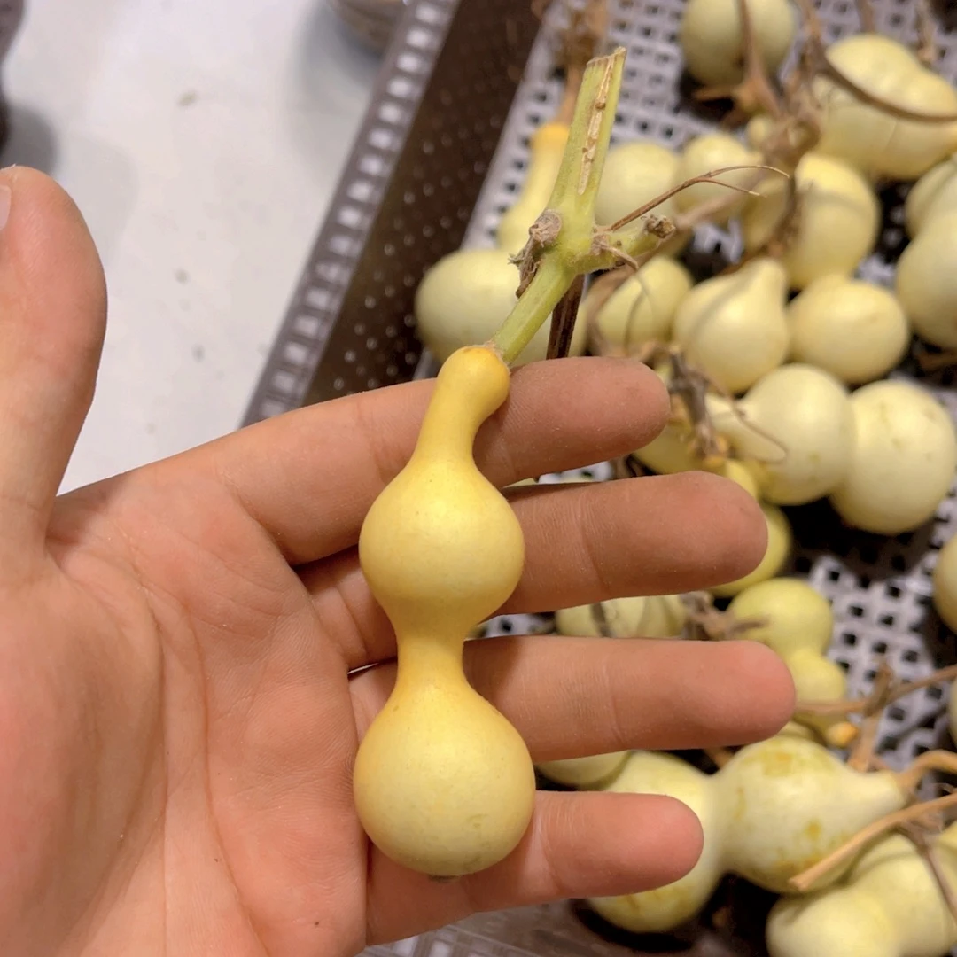 旭***阳感谢大哥支持兄弟不保