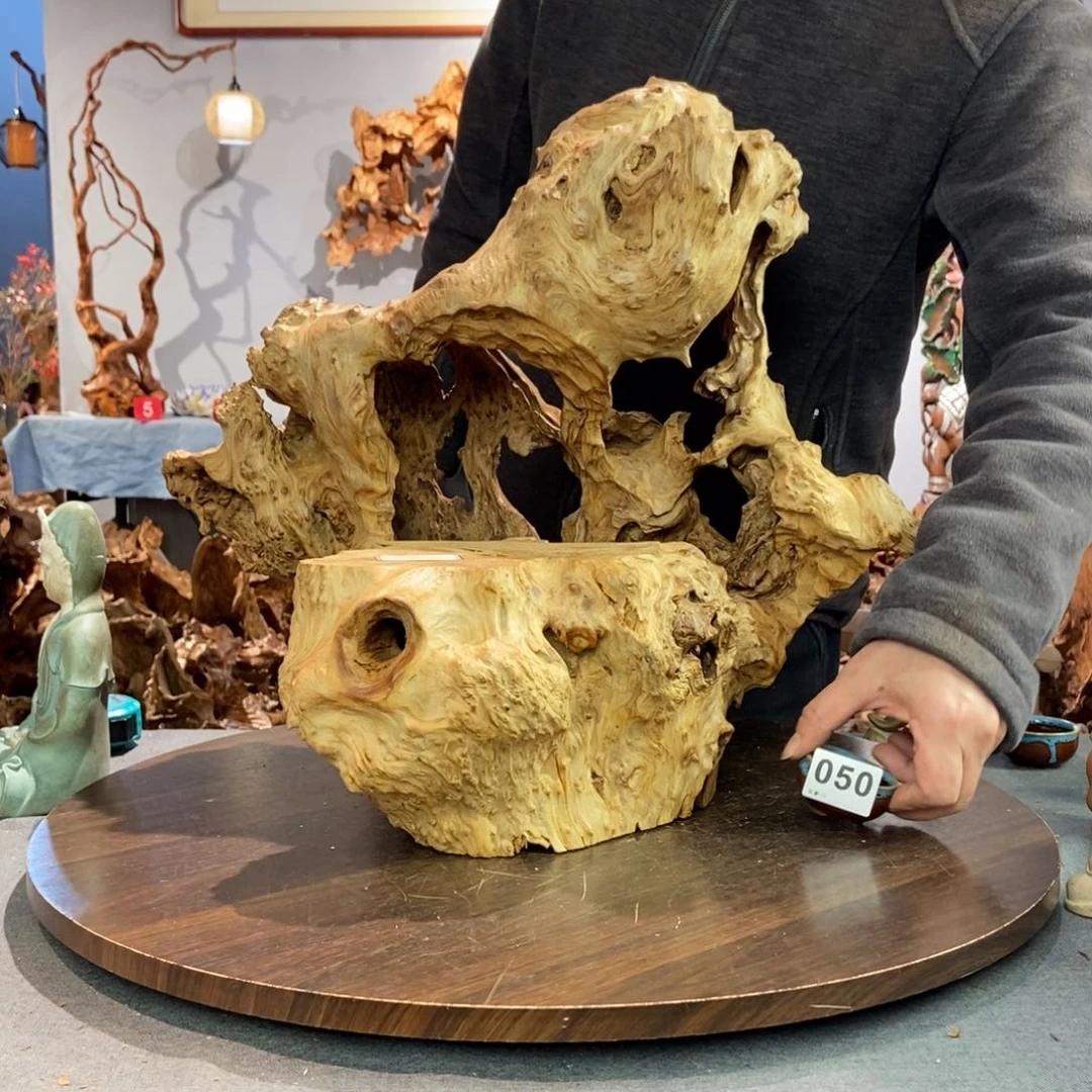 香杉木老*050aaaaaaaaaaa