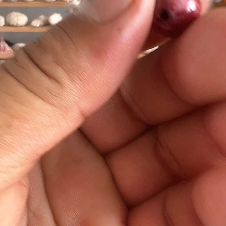 无非金属养殖鹿骨制作三届珠