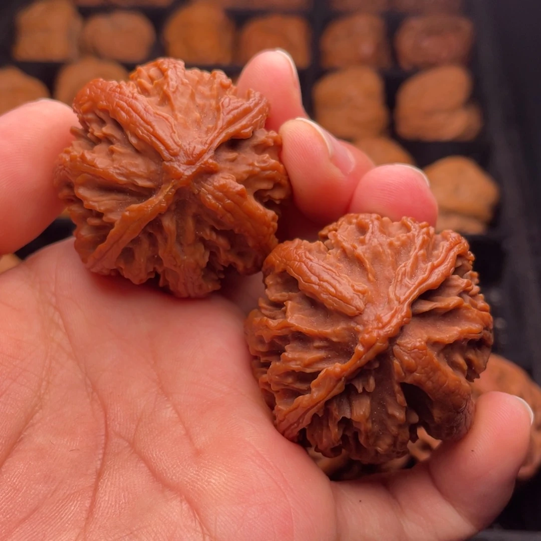 文玩核桃把件秦岭山脉