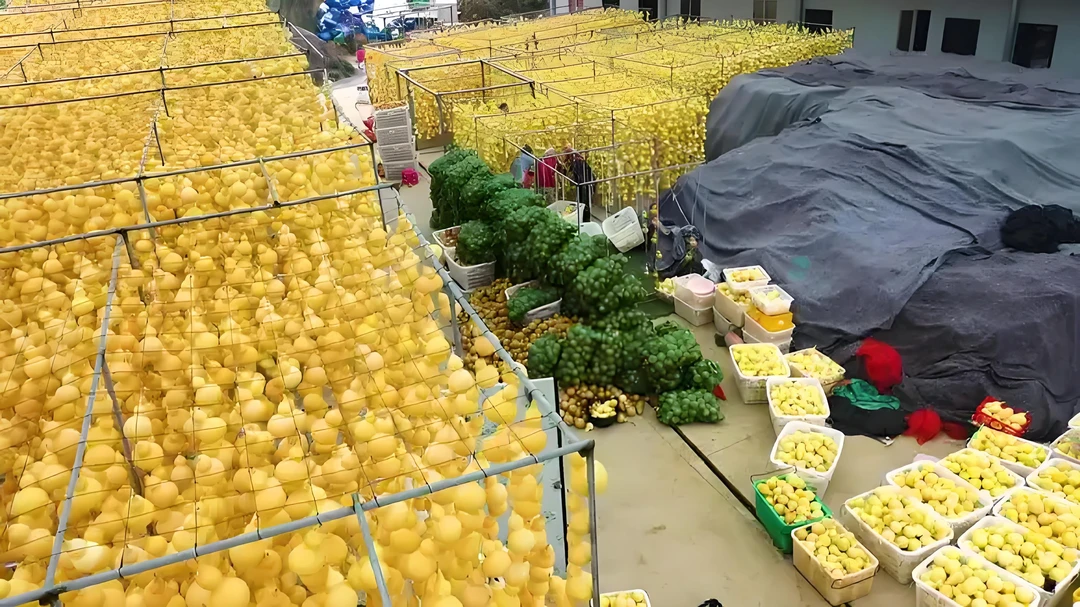 文玩葫芦，葫芦摆件，天然葫芦