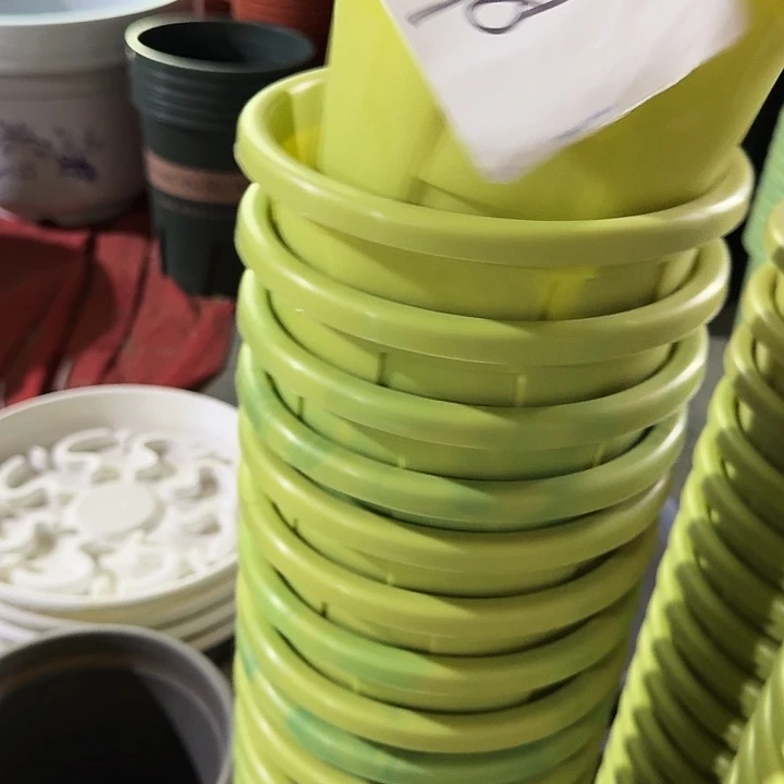 编号698串色6个无托