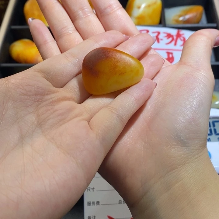 和田玉（糖玉）未镶嵌颈饰大*