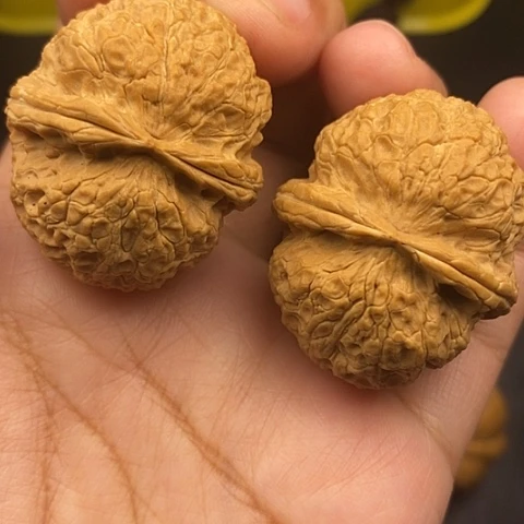 文玩核桃把件39尺蛇皮元宝