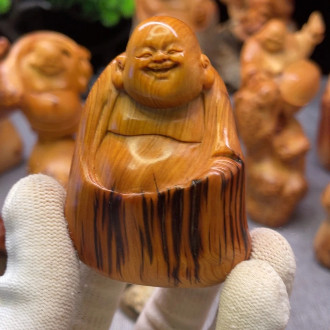 柏木太行崖柏鼓起乐乐