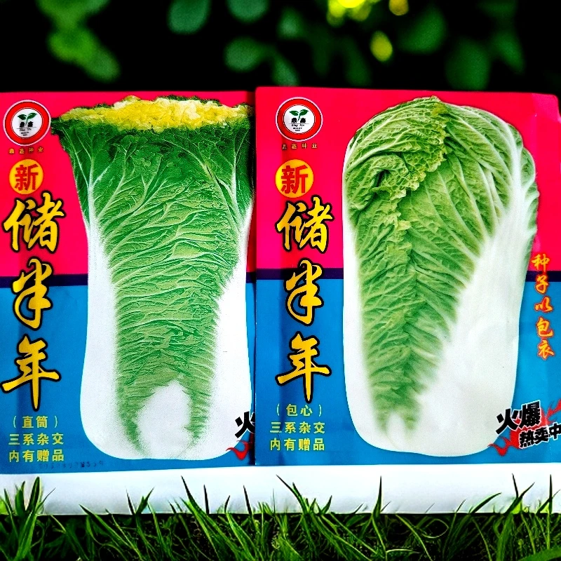 储半年包芯菜+高桩菜25克左右