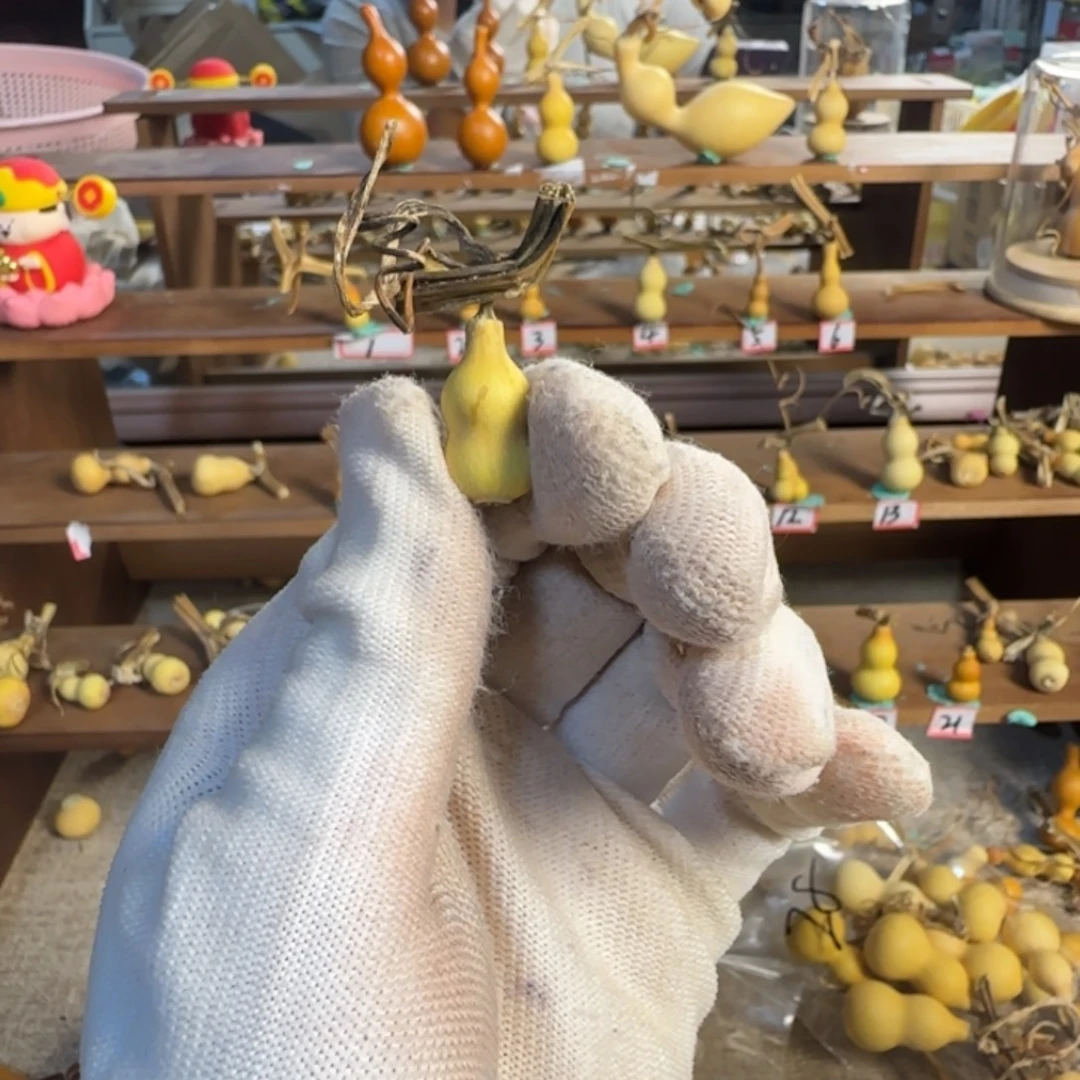 z***商打孔不退不换！秒拍秒退拉黑！