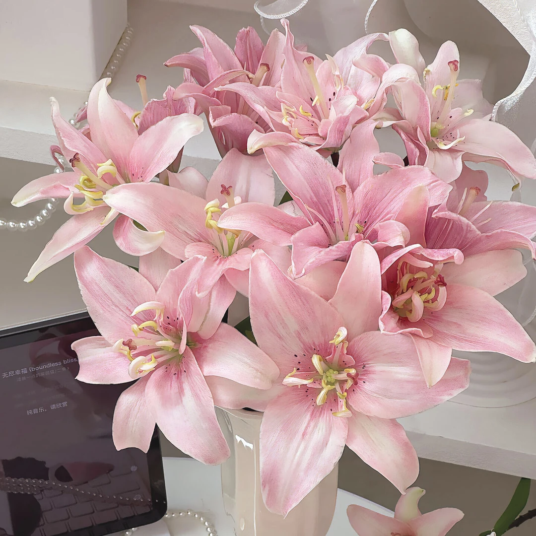 思念亚洲百合小花苞无香味水培鲜花