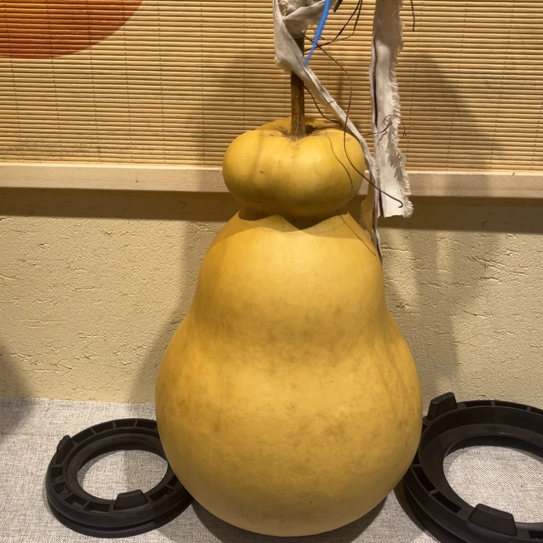 徐***贝仿木不包邮不保龙头