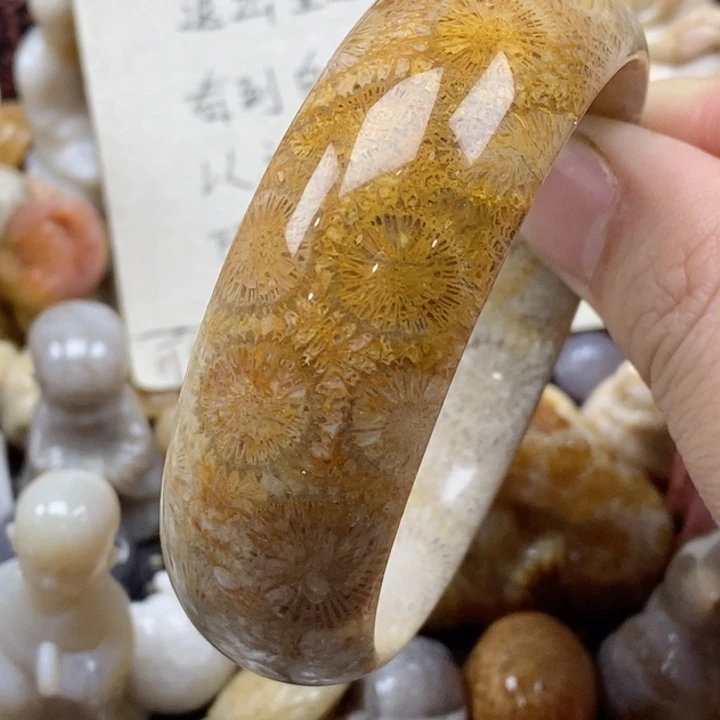 颈饰未镶嵌硅化珊瑚（珊瑚玉）