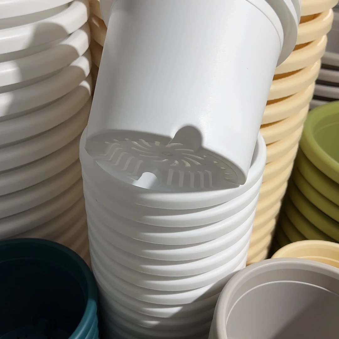 微瑕3号无托10个，白