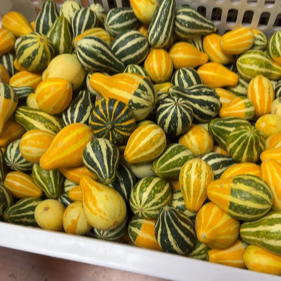 兄***卉葫芦啊啊啊啊啊啊啊啊啊啊