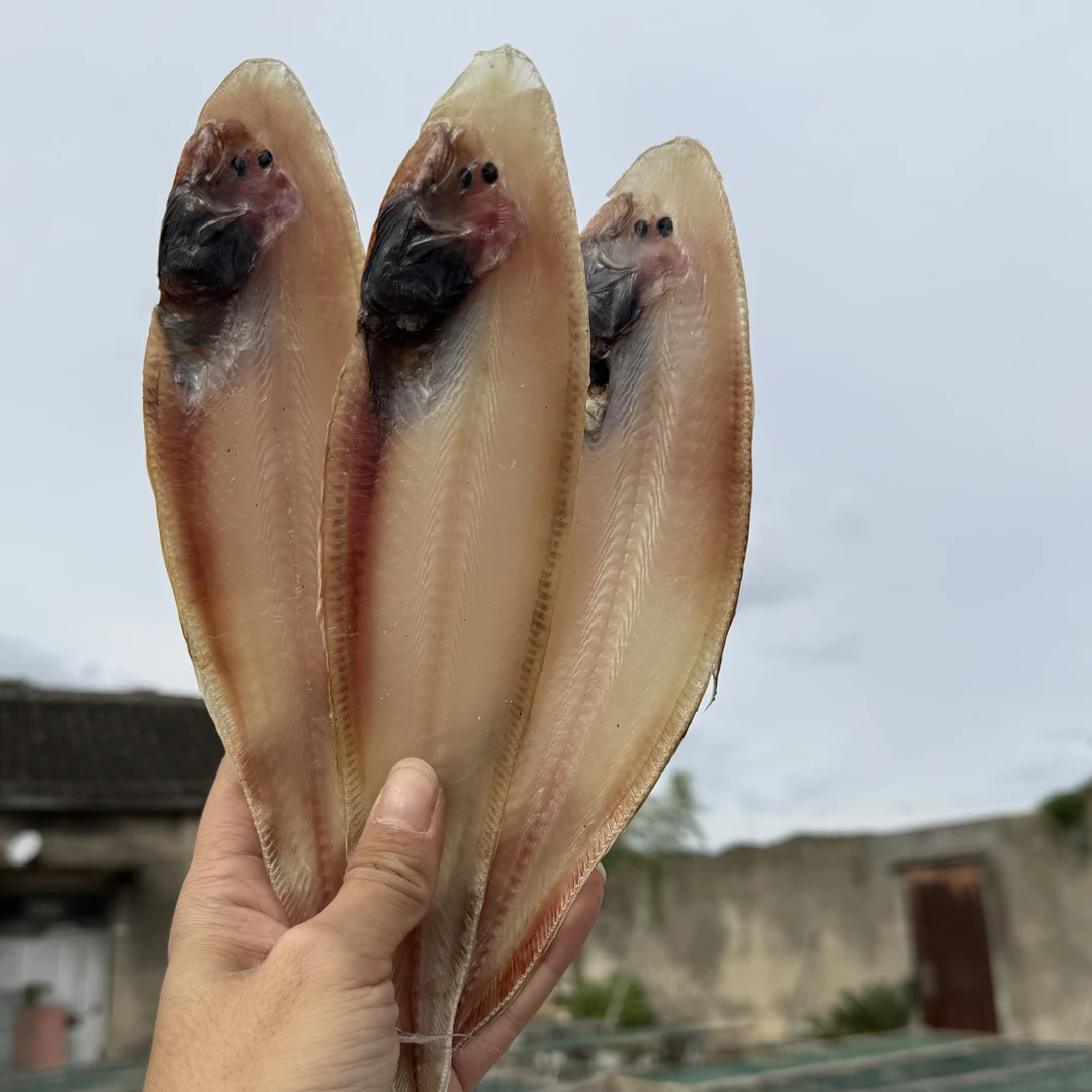 舟山流网船自晒大玉秃鲞