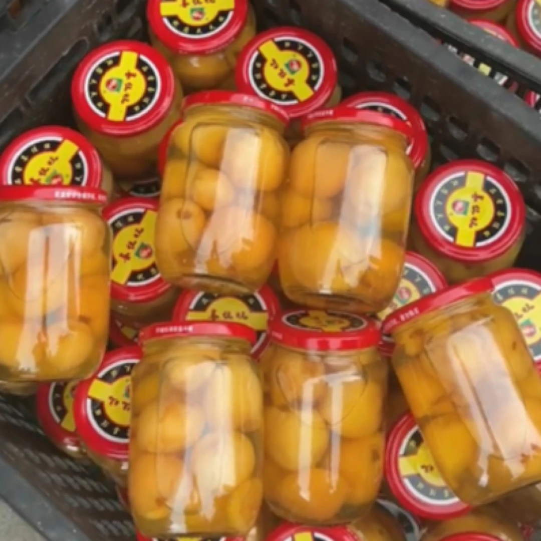 【限时活动：5瓶送1瓶】枇杷罐头跑量款500g一瓶/5瓶一组