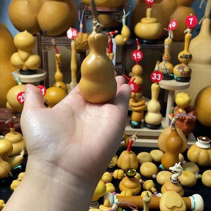 胖***虎葫芦岛连山区…没事不要想我