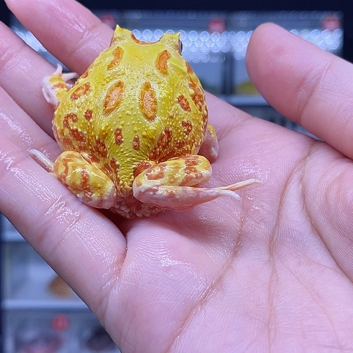 特价秒杀现货特价残