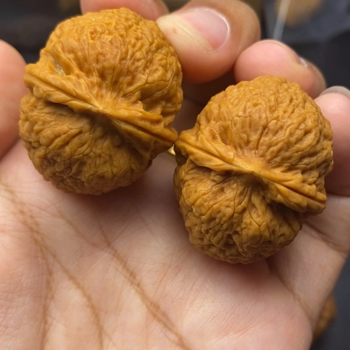 把件文玩核桃37尺密纹狮子