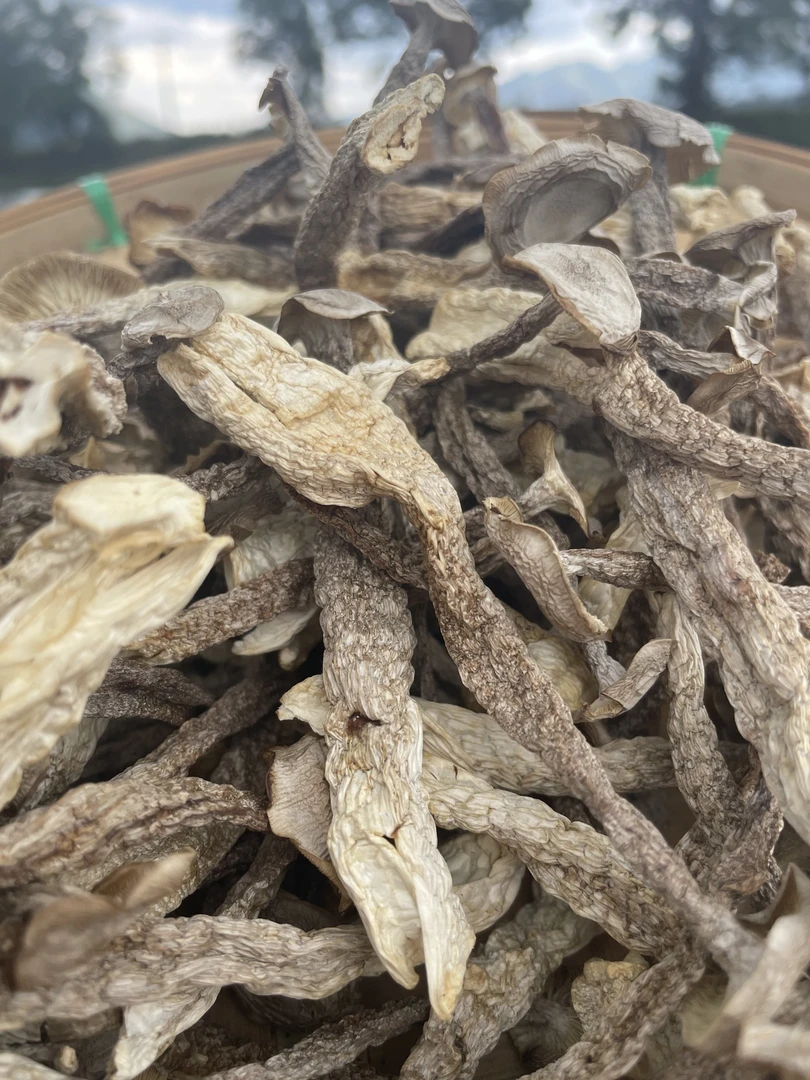 好物甄选美味可口党参鹿茸菇